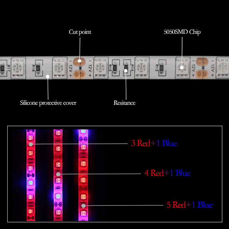 LED Grow light Full Spectrum 1M 4M 5M LED Strip 5050 LED Flower Plant Phyto Growth lamps For Greenhouse Hydroponic Plant Growing