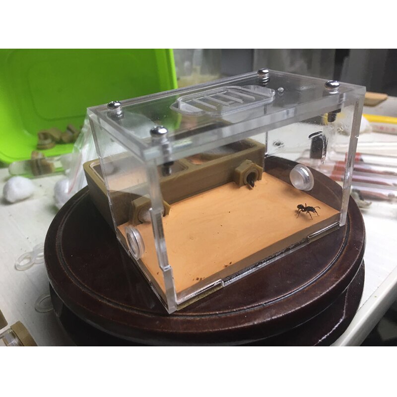 Nid plat à impression 3D pour fourmi, ferme en acrylique à Double grille, petite communauté, alimentation