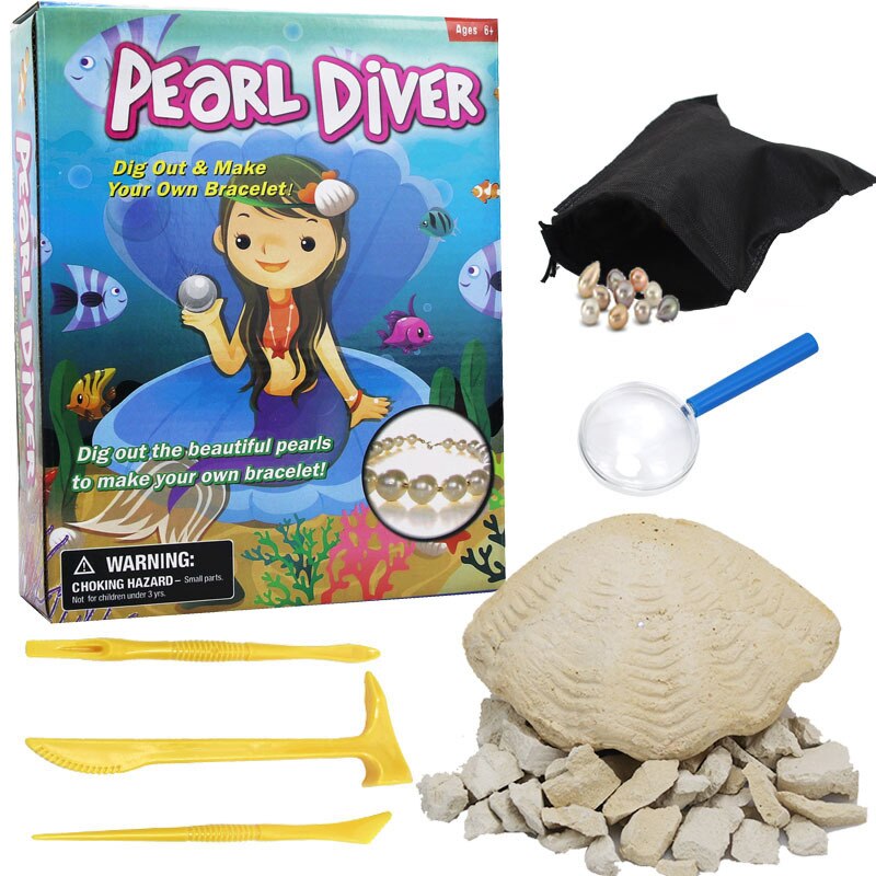 Archeology Dig Discovery Kit Excavate Gems Fossils Rocks Minerals Great Science Mineralogy and Geology Enthusiasts Xmas