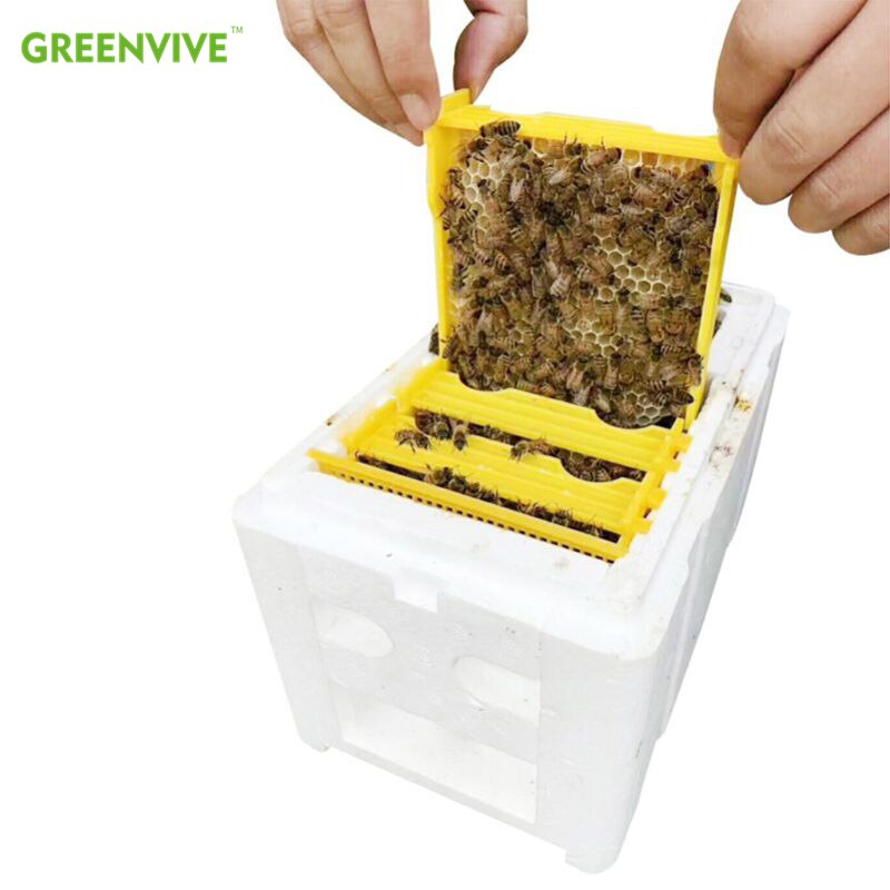 Mini Mating Box Removable Feeder Mating Beehive with Plastic Frames Beekeeping Pollination Box Nuc Beehive