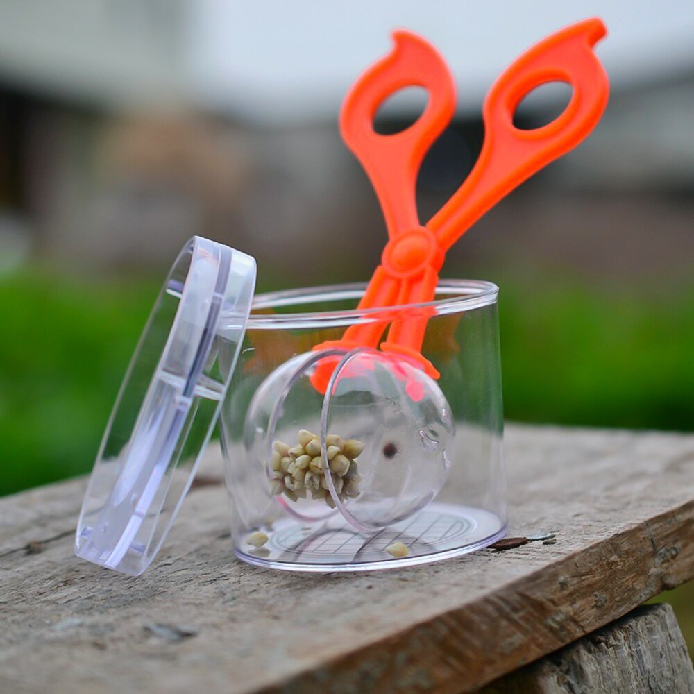 Nature Exploration Toy Kit Kids Plant Insect Study Tool Plastic Clamp Scissor Tweezers Inset Round Head Scissors Clamp Toy
