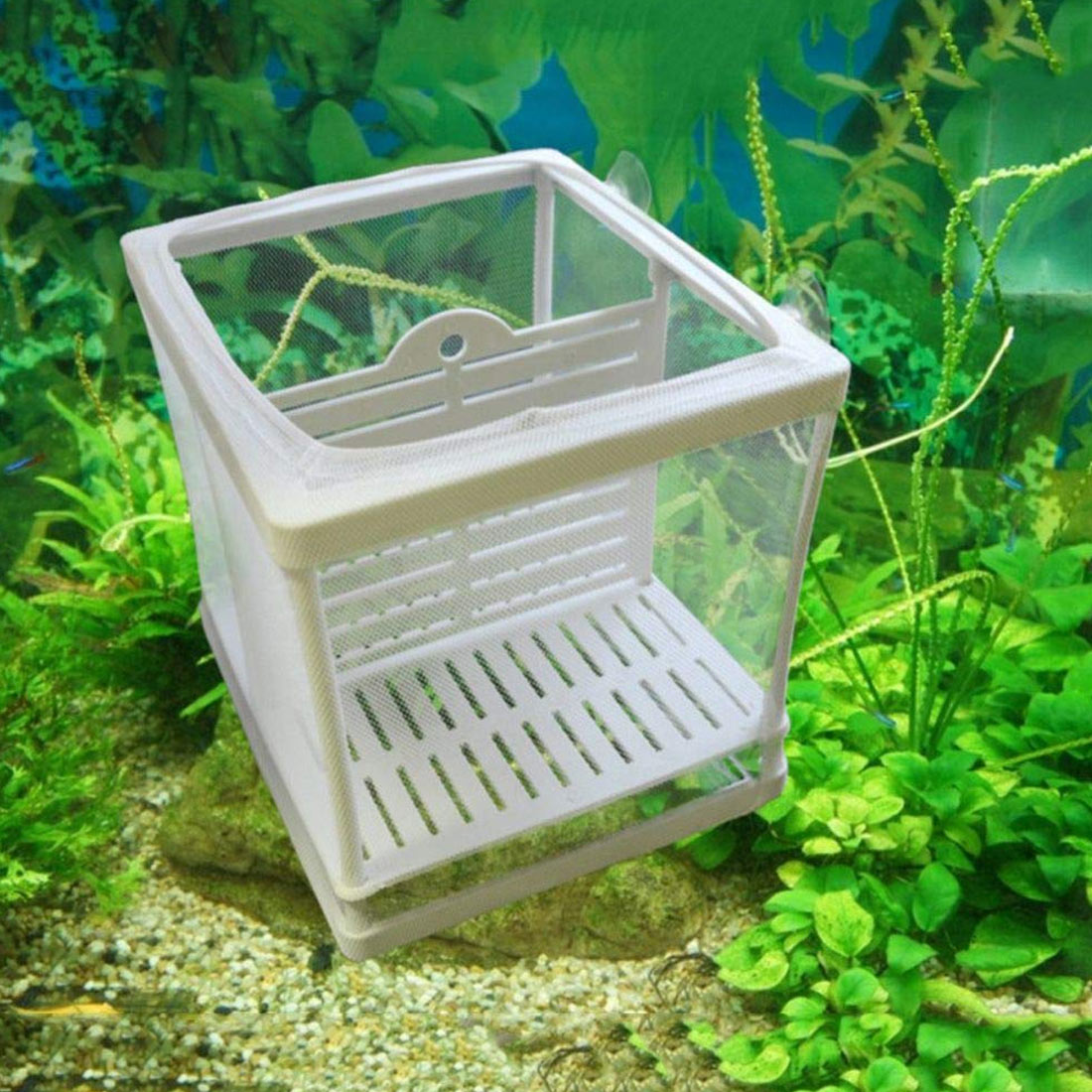 Fish Breeder Box Breeding Hatchery House Baby Fish Aquarium Hatchery Incubator Holder Isolation Net Fish Tank Incubator Box