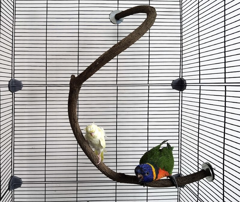 Estante de madera maciza para loros, poste de rama en forma de S, soporte combinado para jaula, suministros para pájaros ZA263