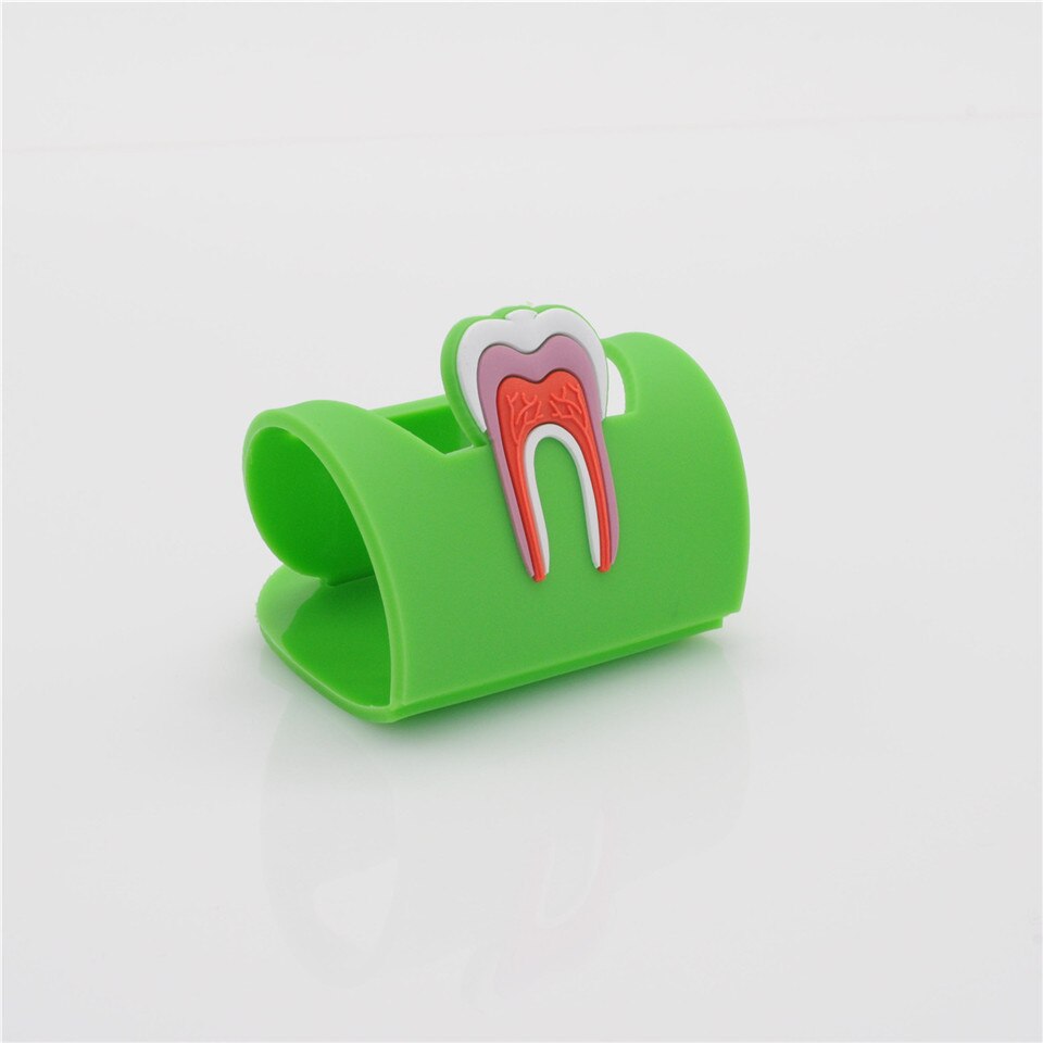 Support de présentoir porte-badge en forme de molaire en caoutchouc 6 couleurs pour dentaire: 5pcs green