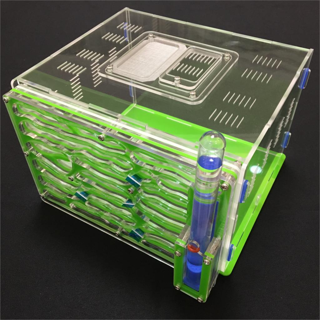 Villa 20*13*18.2 cm grote DIY vocht met voeden gebied ant nest, ant farm acryl, insect mierennesten villa huisdier mania voor huis mieren: green