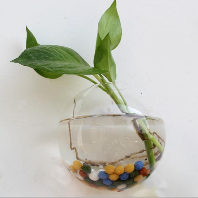 Maceta de cristal colgante creativa terrario florero decoración de la pared del jardín del hogar florero claro colgante tanque recipiente acuario decoración del hogar: half round