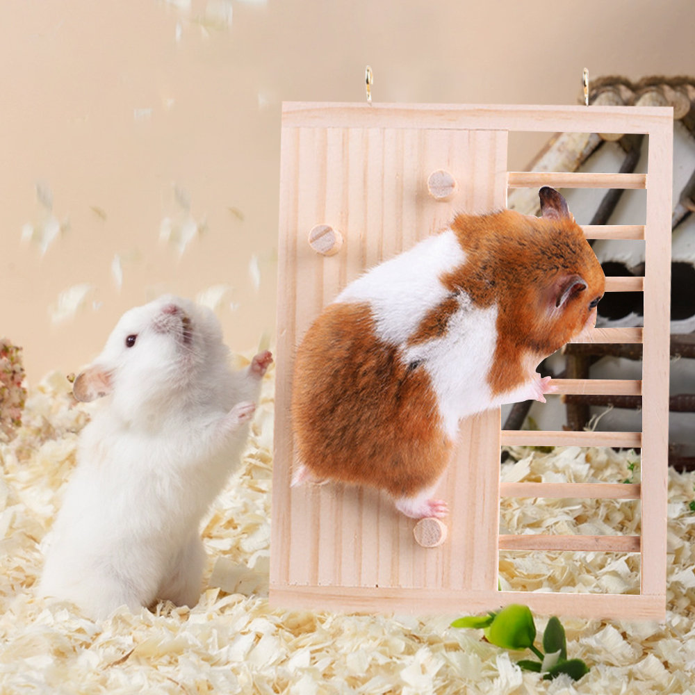 Échelle d'escalade en bois pour Hamster, jouet pont suspendu, planche à sauter, aire de jeux, jouet pour petits animaux, Cage à Hamster, jouet d'aménagement paysager, 1 pièce
