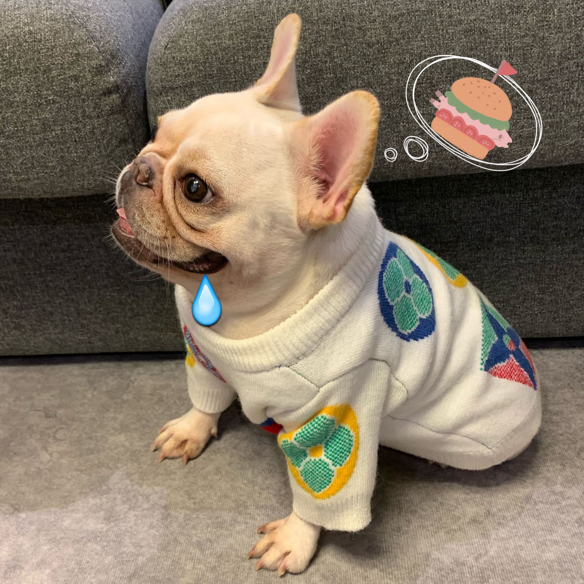 Ropa perro de lujo para pequeños perros mediano ropa linda para gatos producto del animal doméstico del perro ropa de perro Chihuahua, Pitbull, perro Accesorios