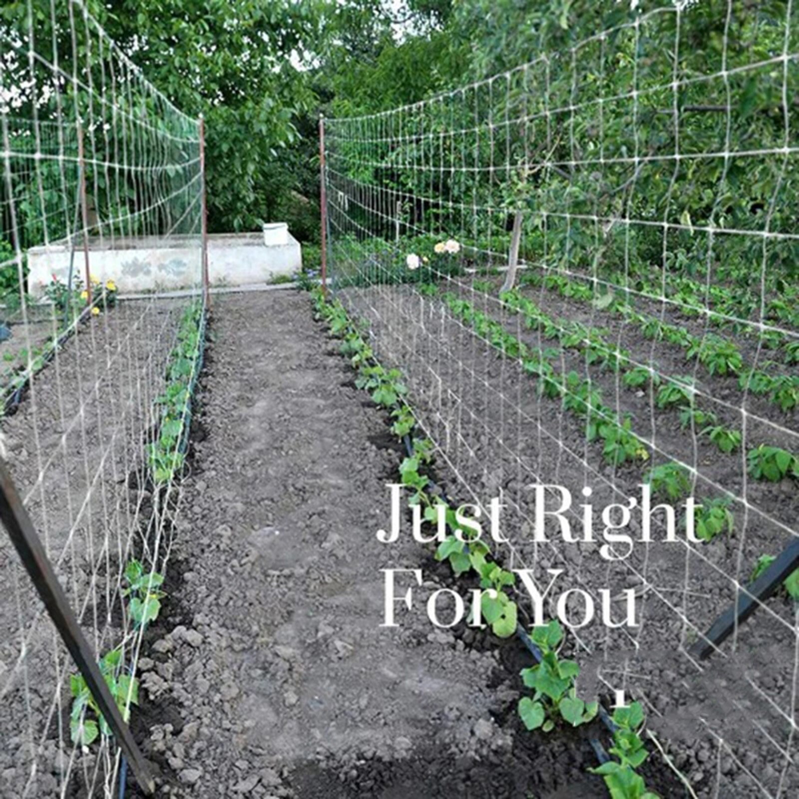 25# Nylon Netting Plant Trellis Netting Plant Climbing Net Woven Polyester Plant Support Vine Climbing Hydroponics Garden Ne