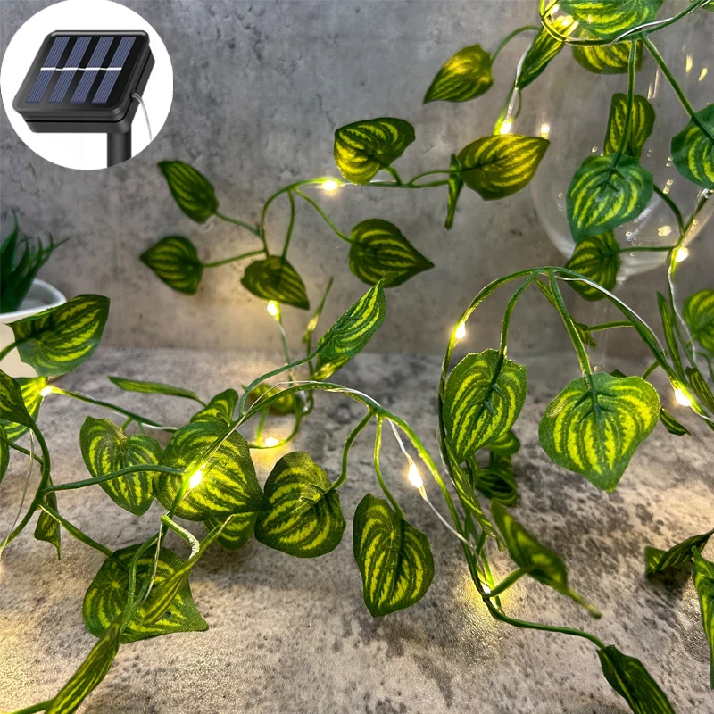 Kerstverlichting Zonne-verlichting Esdoornblad Waterdichte buitenslinger 10M / 5M / 2M Solar Lamp Camping Tuin Bruiloft Decoratie: WHITE / K