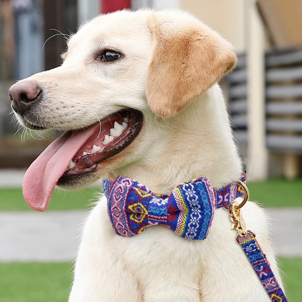 Sløjfe halsbånd til små hunde søde hvalpe halsbånd til chihuahua små hunde print butterfly halsbånd til små mellemstore hunde pitbull