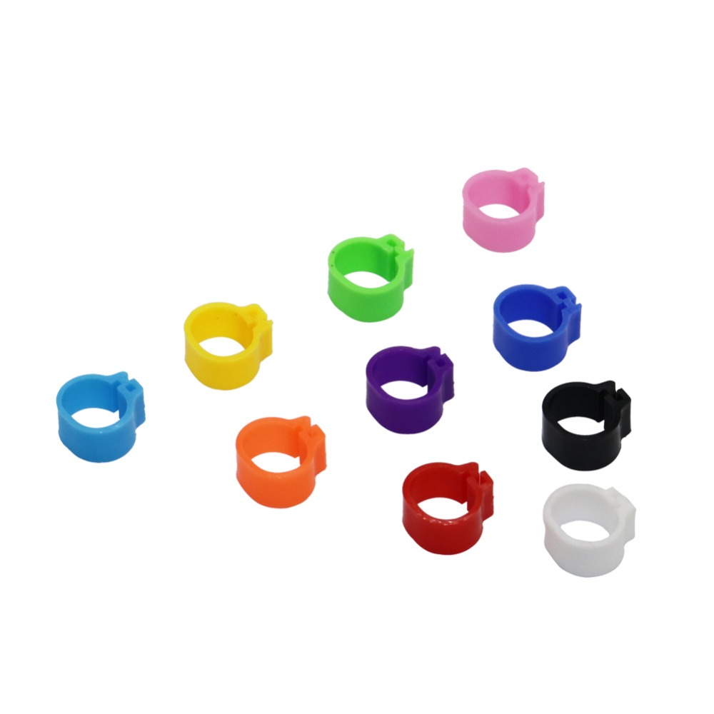 Innen Durchmesser 10mm Kleine Vogel Kunststoff Clip Ring Taube Farbe Fuß Ring 10 Farbe Taube Wachtel Baby Vogel Liefert 100 stück