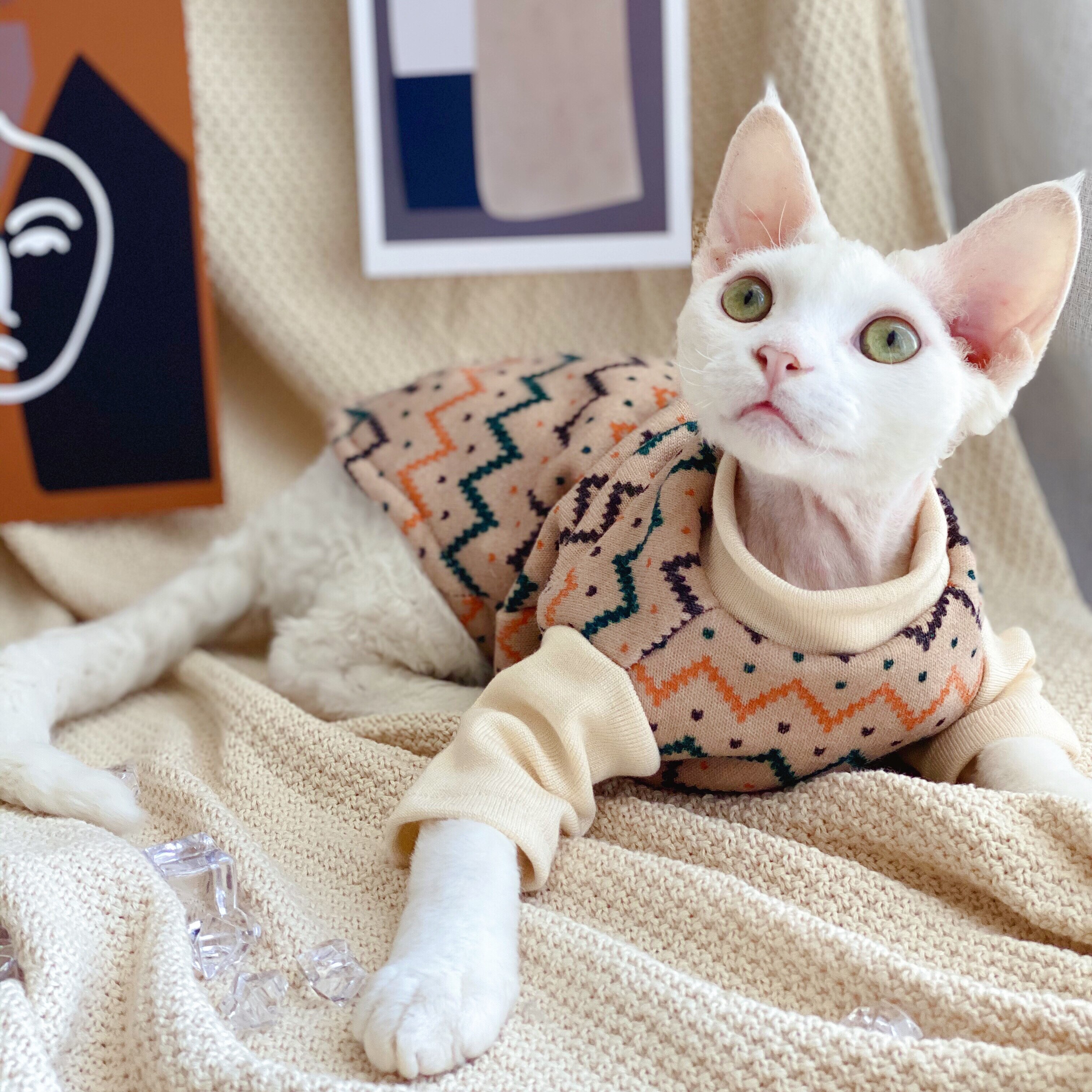 Ropa sin pelo para gatos, suéter de pierna corta para mascotas, abrigo de felpa de invierno, ropa para perros y gatos