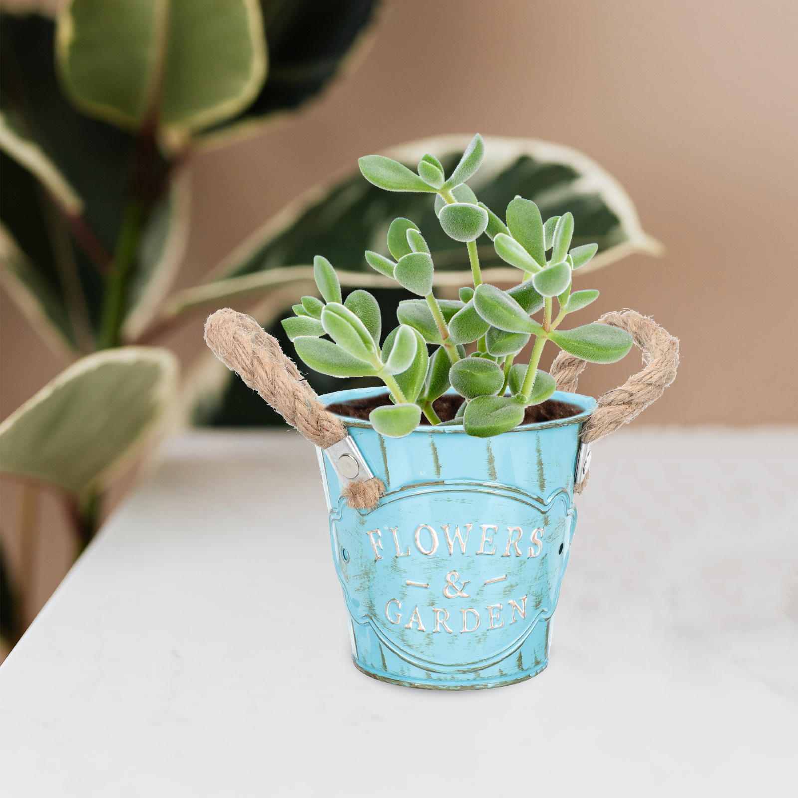 2 Stuks Multifunctionele Plant Pot Plant Bloempotten Vintage Stijl Ijzer Emmer