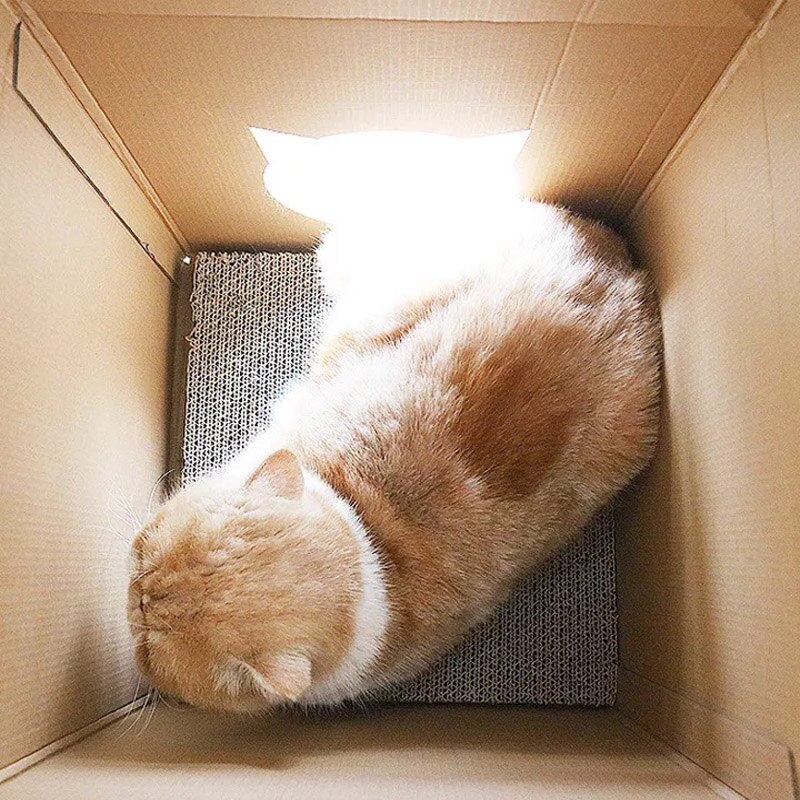 Caixa de leite gato casa gatinho cama pet scratcher papelão gato garra ponto proteger móveis papel ondulado brinquedos para gato animal estimação fornecimento