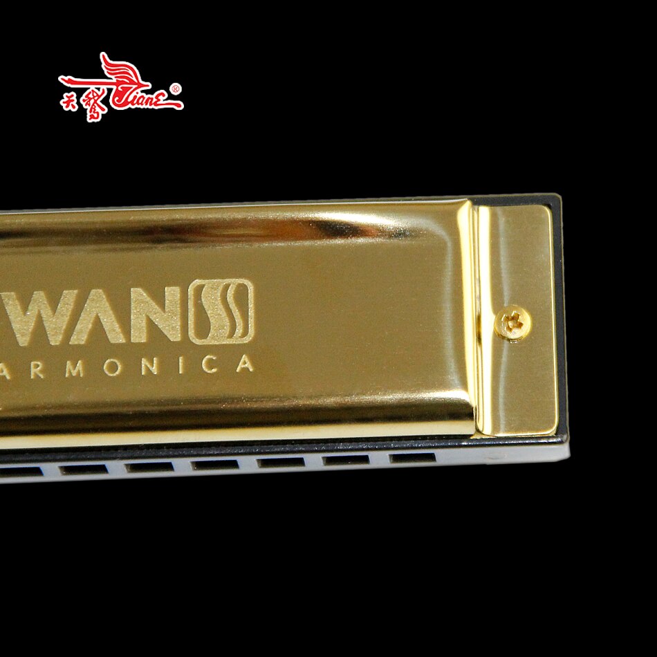 Diatonisk blues munnspill  / 10 hulls munnspill med 20 toner messing reed blues harmonikon / c nøkkel munnorgan