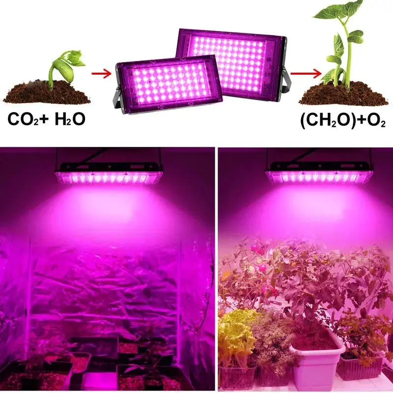 Lámpara de planta de espectro completo, luz Led para cultivo de interiores, 50W, 100W, 200W, 300W, luz Led para cultivo hidropónico, fitoamplificador de flores vegetales