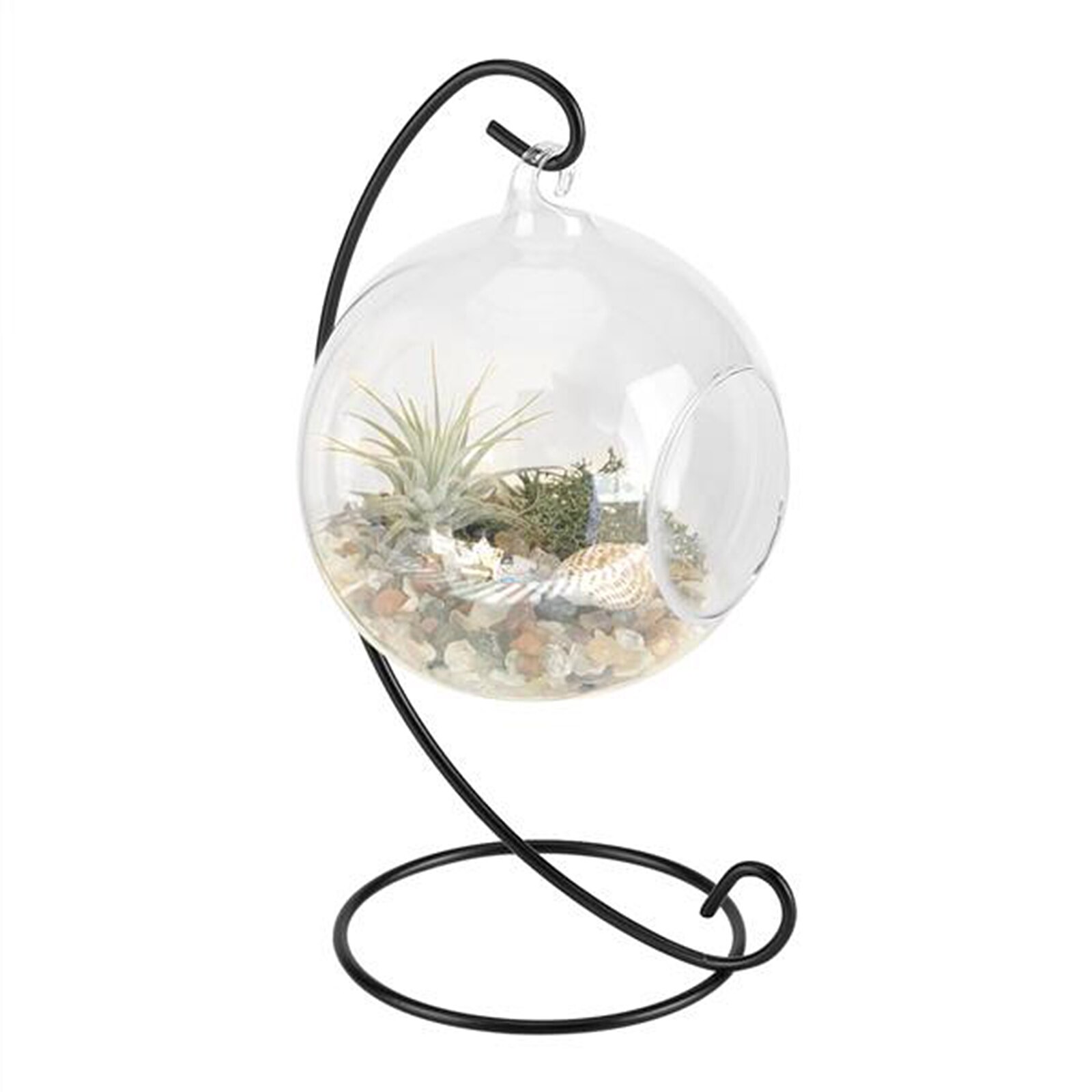 Hanging Glass Terrarium Clear Large Glass Vase With 23cm Metal Display Stand Ocean Scene For Air Plants Succulent Planters Home