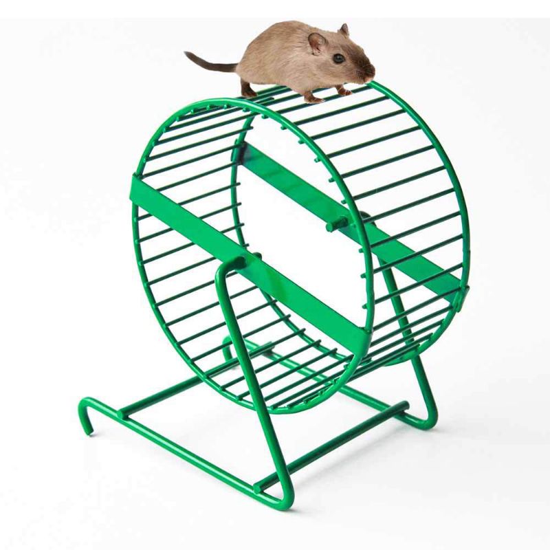 Pet Products Wire Mesh Hamster Wheel Toy for Small Animals 37MB