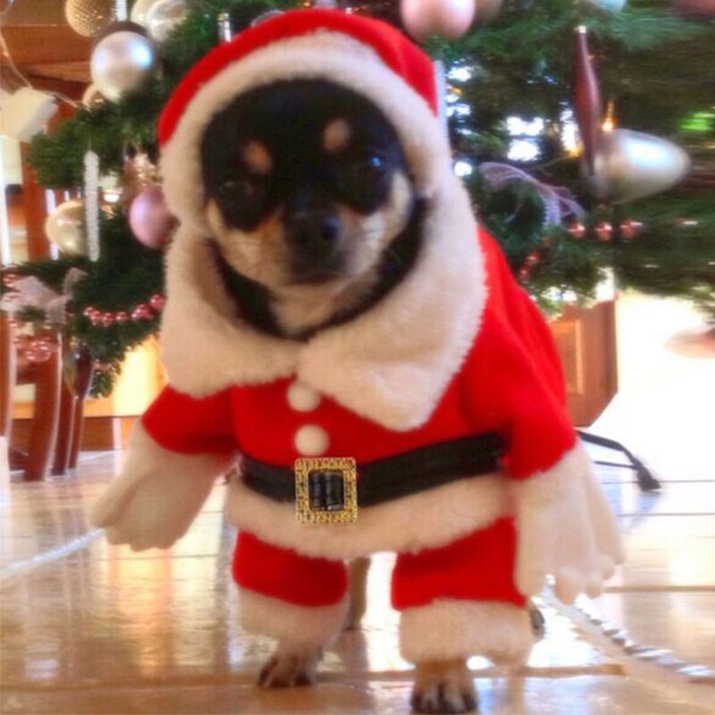 SUPREPET Fleece Warm Christmas Suit for Small Dogs Winter Skin Friendly Pet Clothes Exquisite Belt Puppy Costume