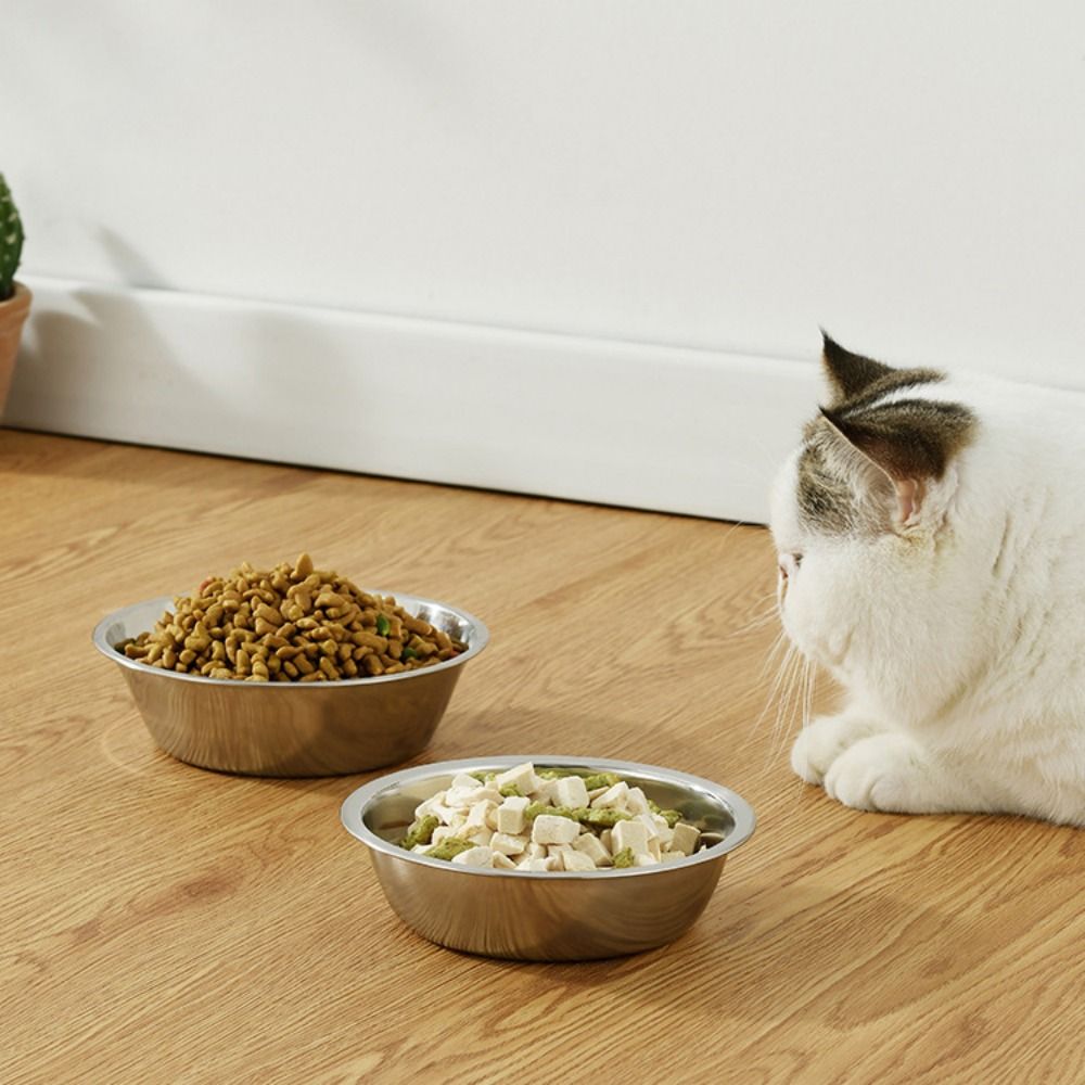 Gamelle de grande capacité en acier inoxydable antirouille pour animaux de compagnie, bols de mangeoire à eau pour chat, récipient de nourriture pour animaux de compagnie argenté, fournitures pour chaton