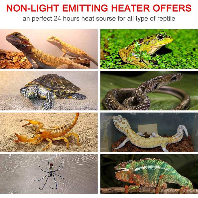 20W Heating Warm Pad Adjustable Temperature Controller Incubator Mat Tools Terrarium Reptiles Heat Mat Climbing Pet