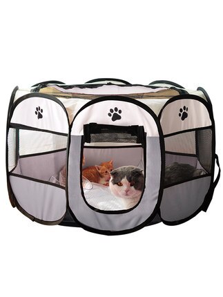 Cat room cat litter cat pregnancy expectation prod... – Grandado