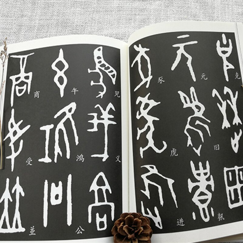 Chinese Oracle Bone Script Copybook Ancient Oracle Bone Script Dictionary Calligraphy Seal Engraving Tutorials Book Pinyin Index