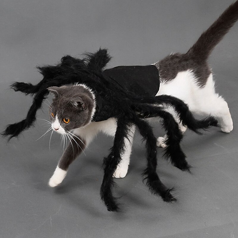 Edderkop hund kostume halloween edderkop kæledyr kostumer outfit tøj lodne edderkop ben