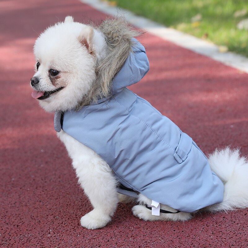 Huisdieren Hond Kleding Katoen Winter Jas Jas Kostuums Hoodies Kleding Voor Kleine Puppy Honden Kat Kleding