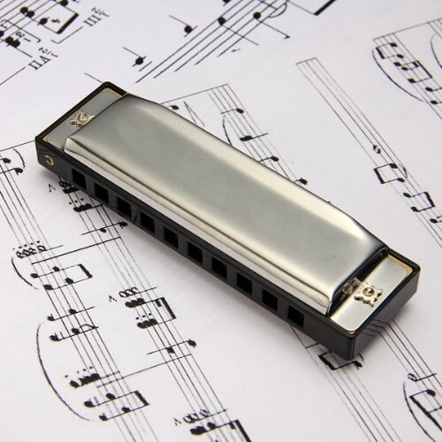 SEWS 10 Holes Harmonica 100 x 28 mm