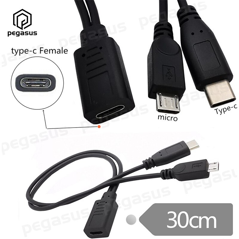 30Cm 2 In 1 Type-C Female Naar Usb 3.1 Type C Male + Micro 5 Pin Male charger Cable
