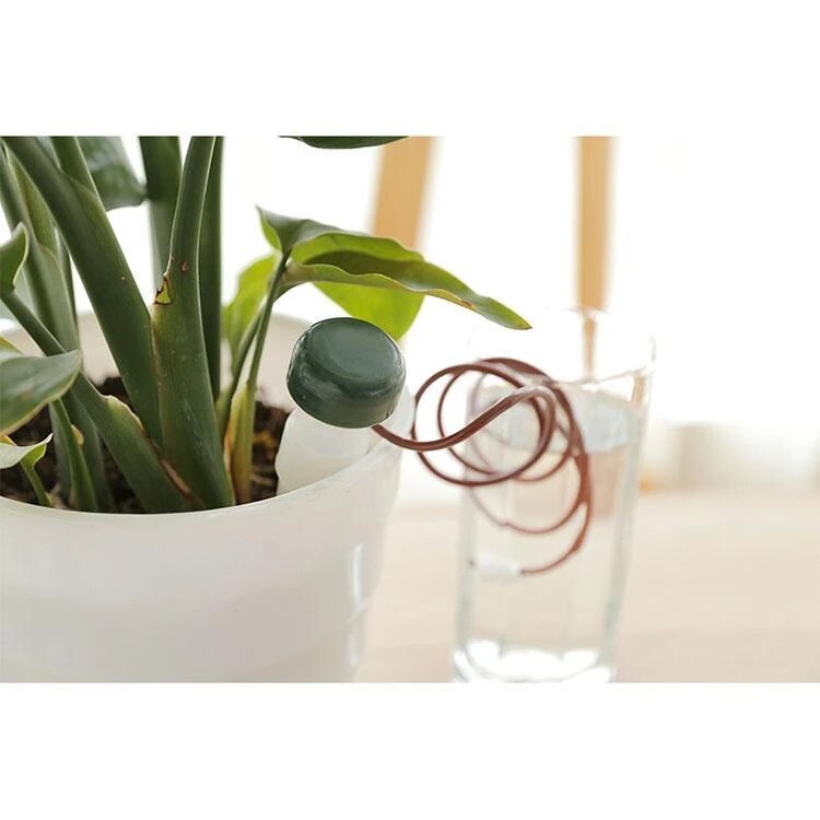 2Pcs Automatic Watering Plant Flower Indoor Automatic Drip Irrigation System Family Drinking Water Bottle Drip Irrigation