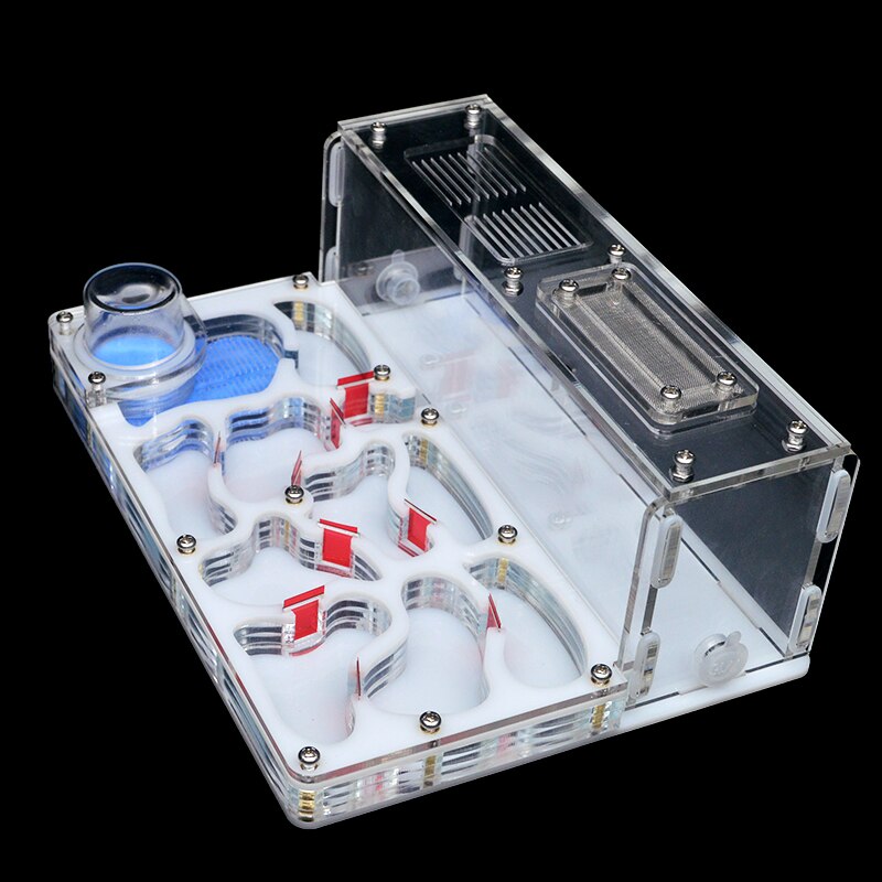 Diy akrylmyrbo stort stor myrgård med utfodringsområde stort myrahus för myrstack med verkstadslott 15*20*7.5cm