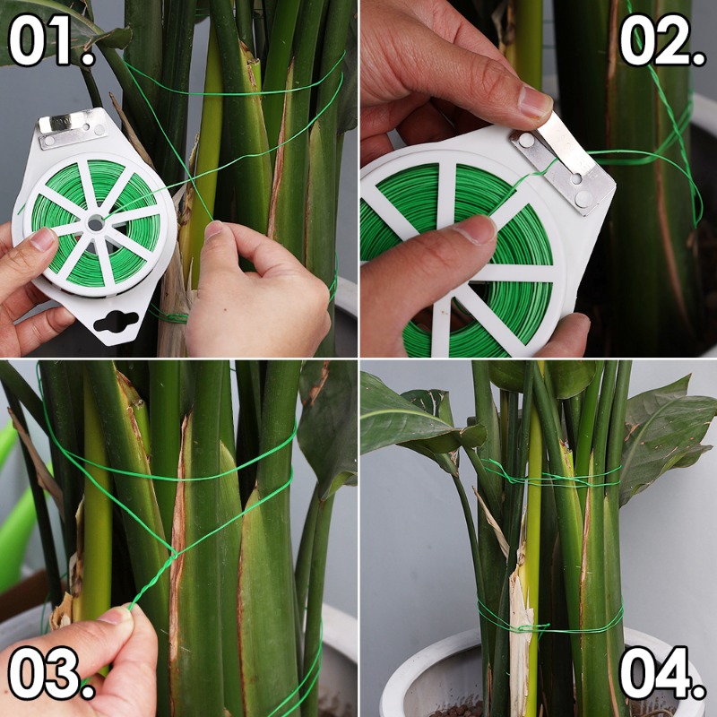 Fil de Cerclage de Jardin Flexible pour Plantes, 20/100m, Liaison, Faisceau de Fer, Fleur, Câble de Support d'Escalade, Ficelle, Canne en Bambou, Outil Rond