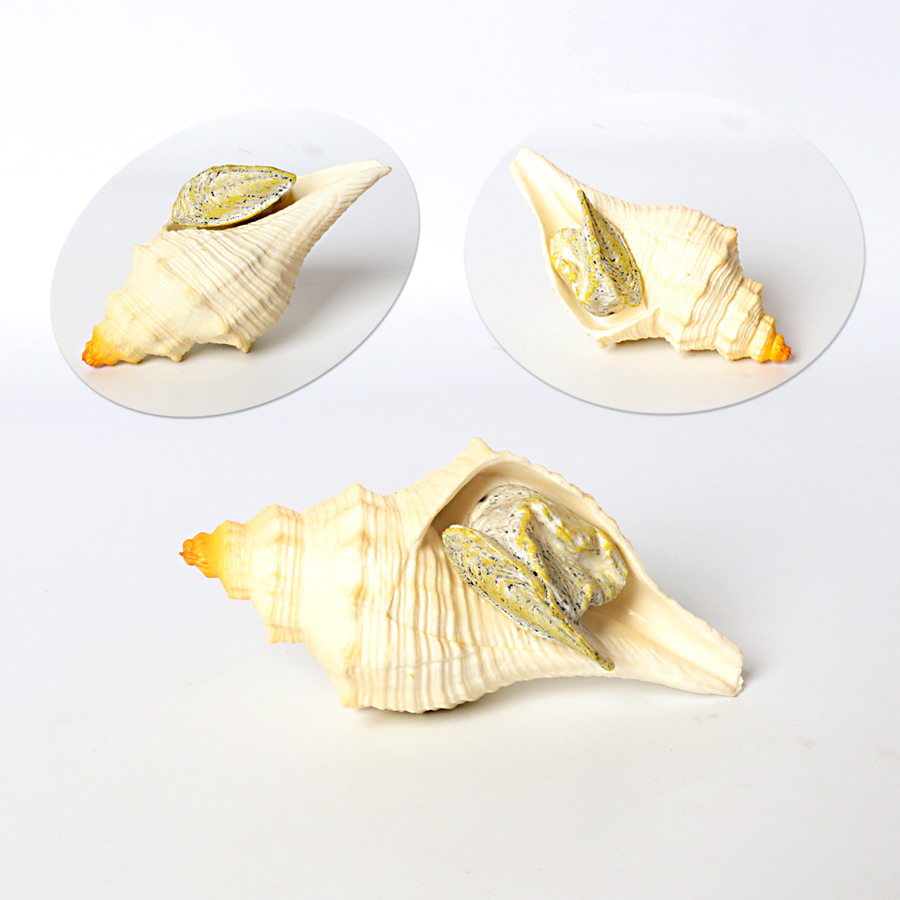 Creatura marina prehistórica de plástico, Animal del océano Cambriano antiguo, Nautilus,Trelobita,Baculitis,Opabinia,Pikaia, figuritas marinas, juguetes