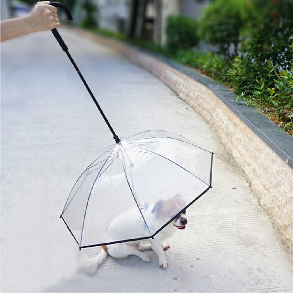 Parapluie pour chien de compagnie avec laisse | Transparent, pliable, pour chiot, pour petits chiens, chiots, Protection contre la pluie