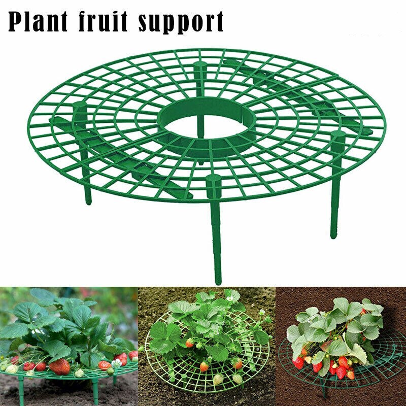 Erdbeere Stehen Pflanzung Gestell Obst Unterstützung Anlage Klettern Reben Blume Säule Gartenarbeit Halterung Gartenarbeit Stehen