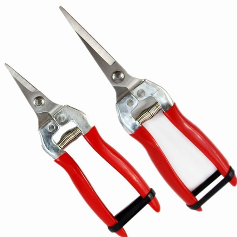 Stainless Steel Tree Pruning Garden Shears Grass Fruit Cutter Gardening Scissors Branch Pruners BOM666