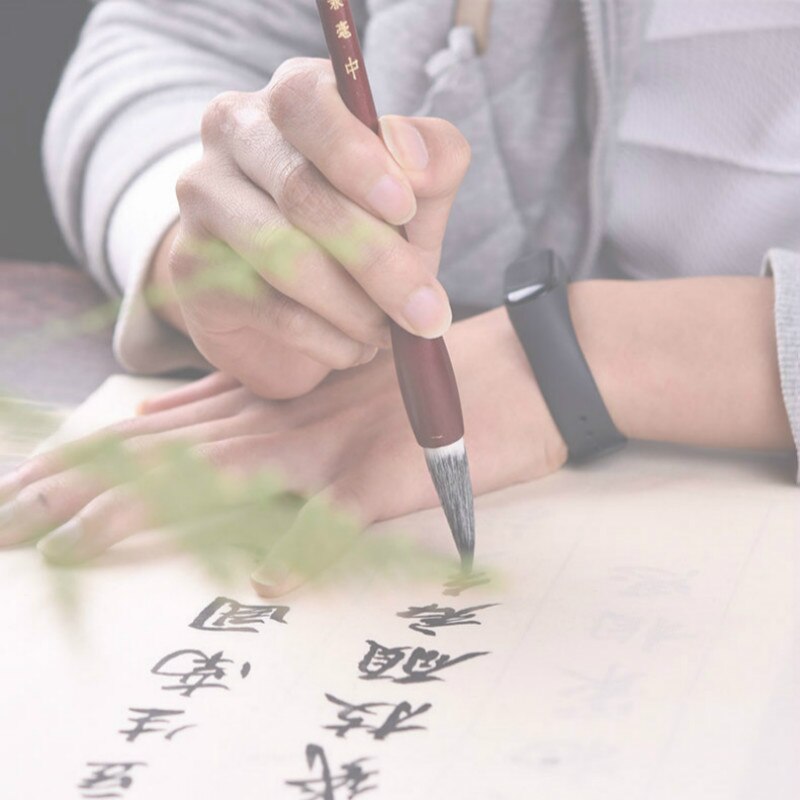 3pcs/set Brush Pen Caligrafia Chinese Huzhou Calligraphy Brush Pen Chinese Painting Writing Brush for Beginner Tinta China