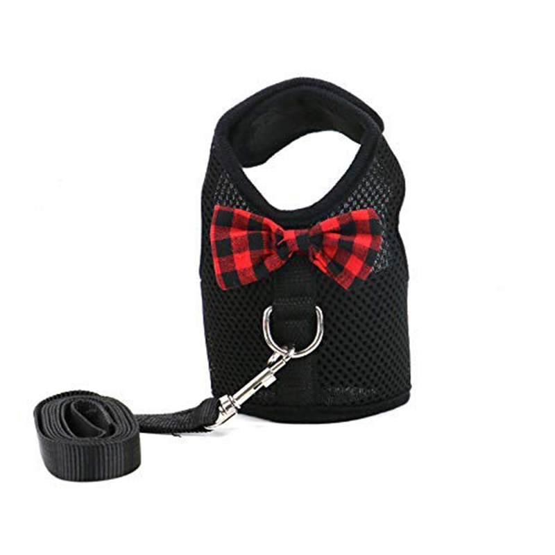 Trixie Tuig Met Riem Voor Konijnen - Konijnenharnas - 25-44x1.0 cm - Harnas & Tuig - Pets Place