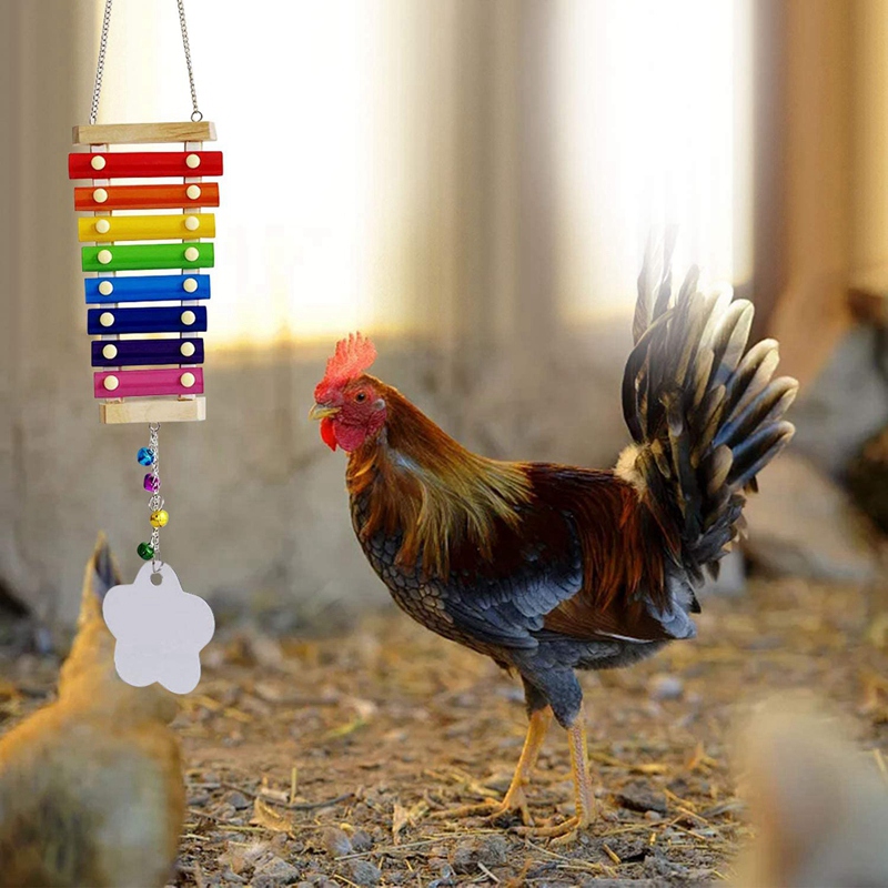 3Pcs Chicken Toys,Chicken Xylophone Toy Veggies Hanging Feeder,Mirror Toy Chicken Coop Accessories Chicken Toy for Hens