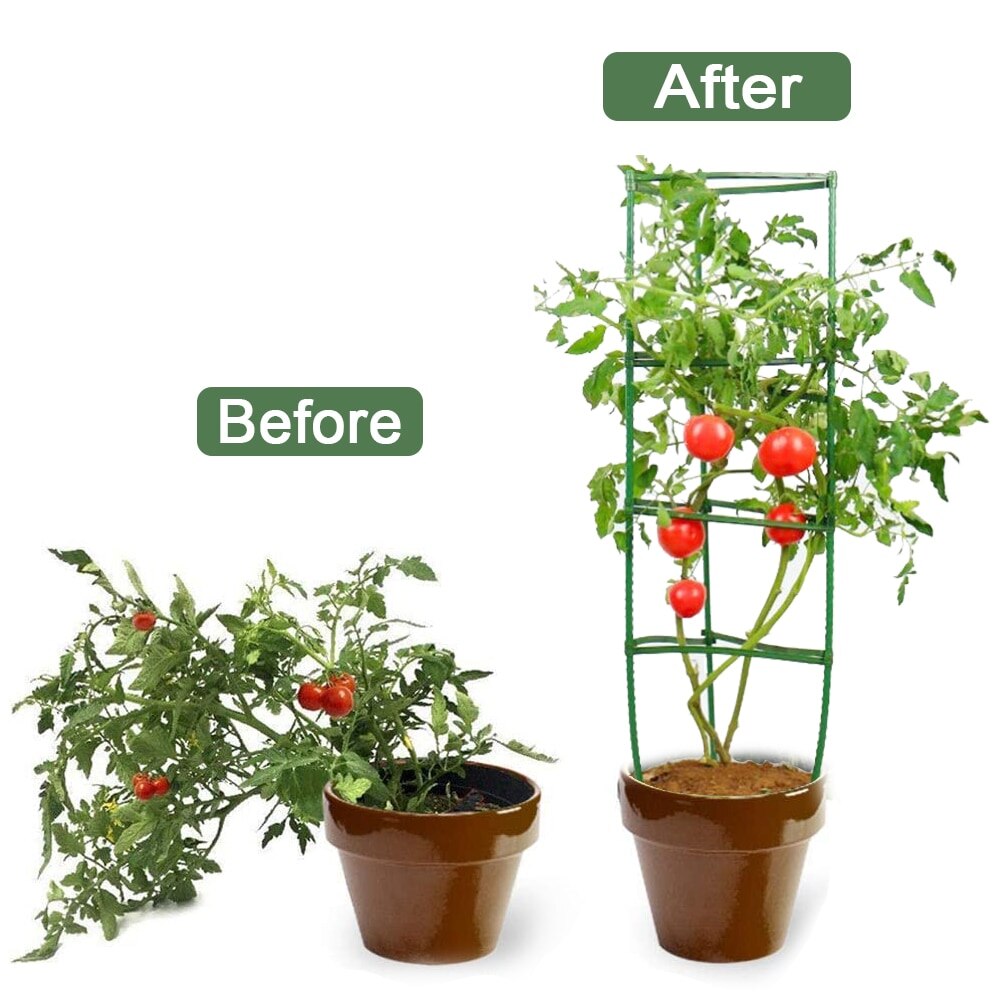 12/24 stk planter støtte stak stik have plante fix klip drivhus plast fast stik til blomster grøntsager tomater