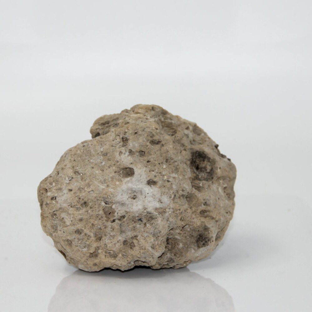 4 Uds. Piedra pómez Natural Pequeña Piedra pómez flotante para acuario paisajismo