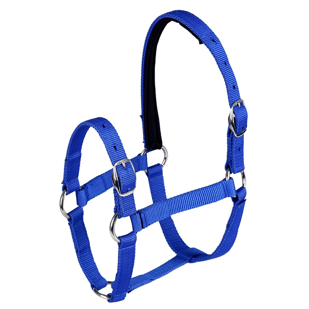 Adjustable Equestrian Western Horse Halter Fits 4.3ft - 5.4ft Horse Black/Blue/Red: Blue