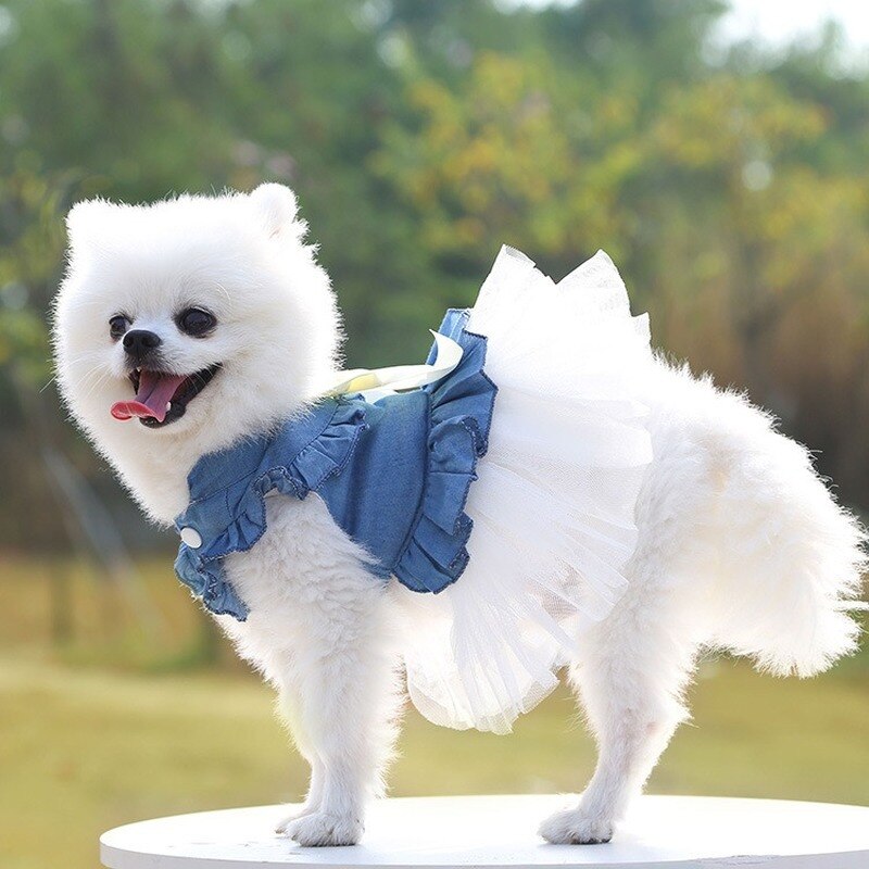 Pet denim dress cat dog princess wind skirt kitten puppy cute tutu skirt dog breathable T-shirts cat comfort shirts pet clothes