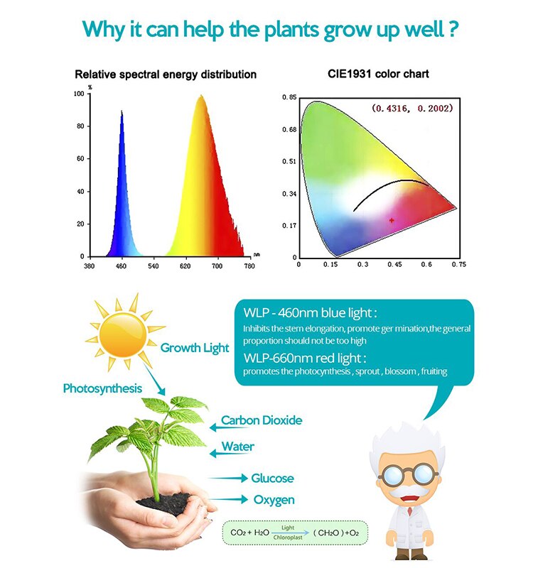 LED Grow Light USB Phyto Lamp Full Spectrum Grow Tent Complete Kit Phytolamp for Plants Seedlings Flowers Indoor Grow Box