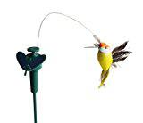 Rctown sjove sollegetøj flyvende flagrende kolibri flyvende drevne fugle tilfældig farve til haven dekoration  zk15: Default Title