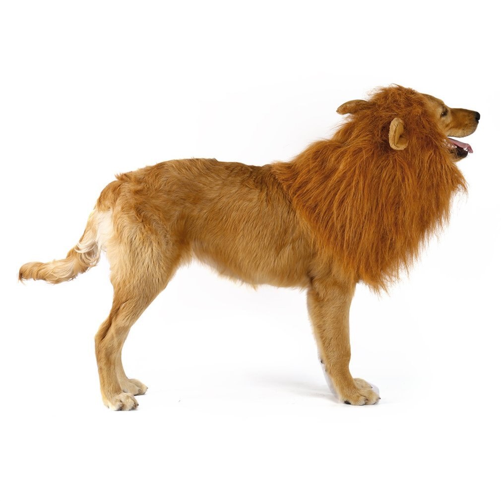 Disfraz de Animal mascota, pelucas de León, pelo de Melena, bufanda, vestido de , ropa de perro, disfraz de , vestido para perro