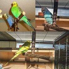 Jaula para loros y pájaros juguetes de entrenamiento percha trituradora de madera percha de mascar soporte de madera E5BB